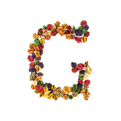 G, Dried flower alphabet isolated on white background