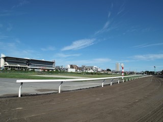 青空と競馬場