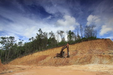 Deforestation: Excavators destroy rainforest to make way for oil palm plantations © Richard Carey