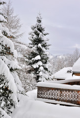 grands sapins et terrasse de chalets recouverts de neige
