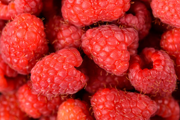 Fresh Red Raspberry Fruits Background