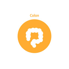 Vector colon simple icon