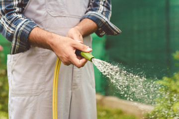 Working watering garden from hose