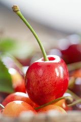 Sweet Cherry - close up