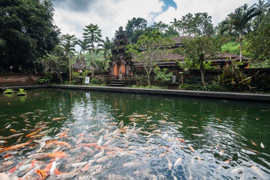 Holiday in Bali, Indonesia - Tirta Empul Holy Water