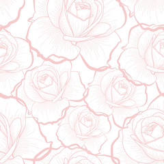 Pink outline roses on white seamless pattern