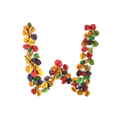 W, Dried flower alphabet isolated on white background