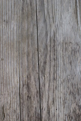 Fototapeta premium wood texture grey