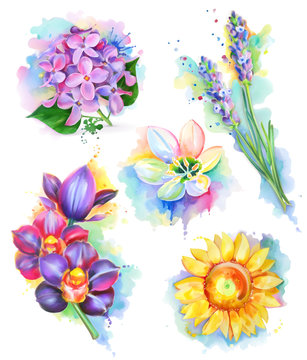 Beautiful flowers, watercolor painting, mesh vector icon set