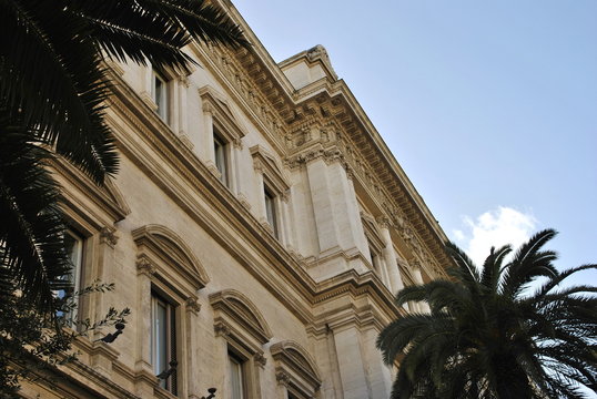 municipal building behind palm trees/Roma