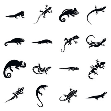 Lizard icons in simple style. Black lizards set isolated vector illustratration