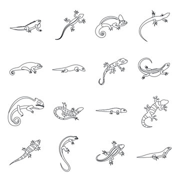 Lizard icons in outline style. Line lizards set isolated vector illustratration