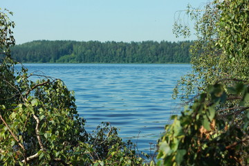 Летнее озеро в лесу