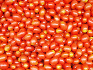 Group of fresh tomatoes