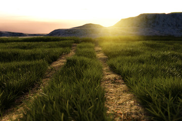 Fototapeta na wymiar 3d rendering of footpath at high grassland in the evening sunshi