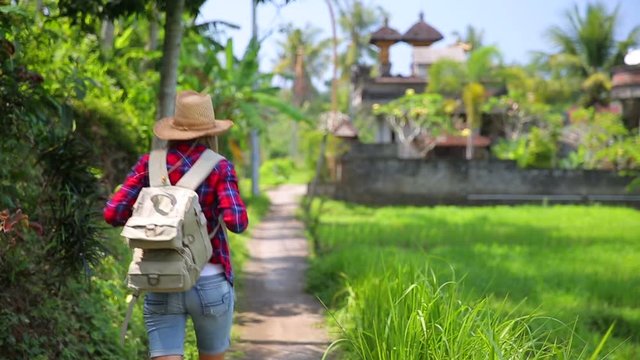 Traveler woman with backpack walking among rice fields, active lifestyle, happy summer vacation in Asia, slow motion, Full HD Video 1920x1080