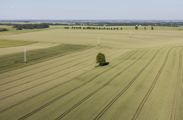 Obraz premium aerial view of the springtime harvest field