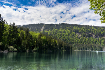 Am Großen Arbersee