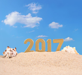 Fototapeta na wymiar 2017 year golden figures with seashells