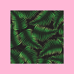 Tropical background - ferns, green fronds, leaves on black background with pink border - vector background