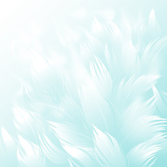 Fototapeta na wymiar Feathers background