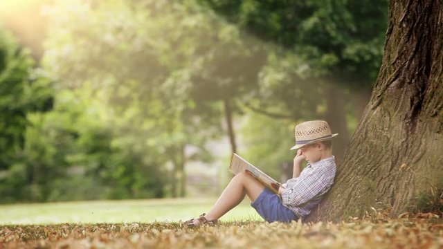 A boy sits under the tree illuminated by sunrays and reads a book