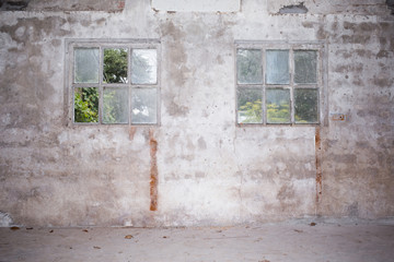 Wall of an old shed