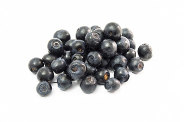 Blueberries on a uniform white background close-up front view. Just brought from the forest