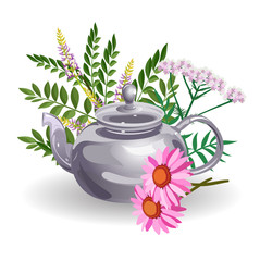 Obraz na płótnie Canvas Glass teapot with herbs for herbal tea (valerian, echinacea, liquorice). Hand drawn vector illustration, isolated on white background.