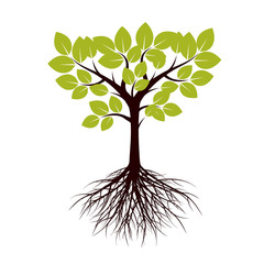 Spring Tree and Leafs. Vector Illustration.