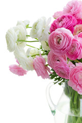 Pink and white ranunculus flowers