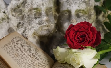 Engelsköpfe mit Rosen und alter Bibel
