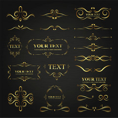 Ornate frames elements gold design