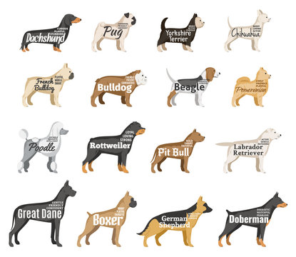 Vector dog silhouettes collection isolated on white