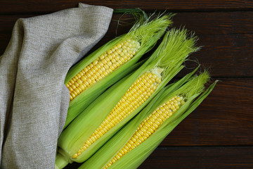cob fresh raw natural organic corn © Olga Kriger
