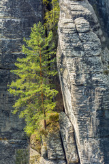 The Elbe Sandstone Mountains in Germany, Europe