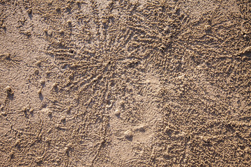 Background small crabs traces on the beach sand.