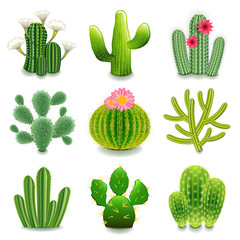 Cactus icons vector set