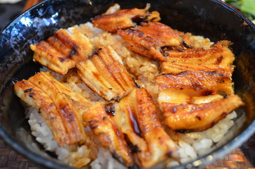 Conger rice bowl, a famous Japanese food in Hiroshima.