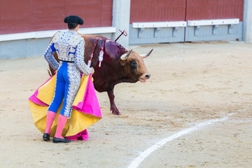 Spanish corrida