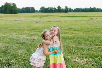 two beautiful girlfriends on the meadow