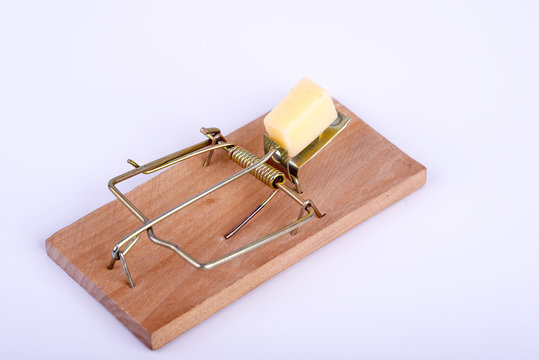 Mouse trap