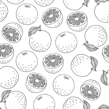 Seamless pattern with hand drawn oranges on white background