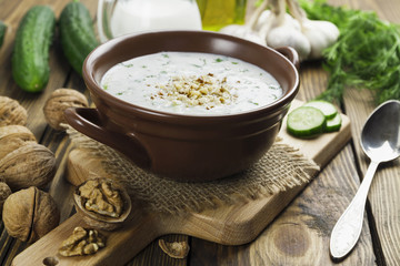 Tarator, bulgarian sour milk soup