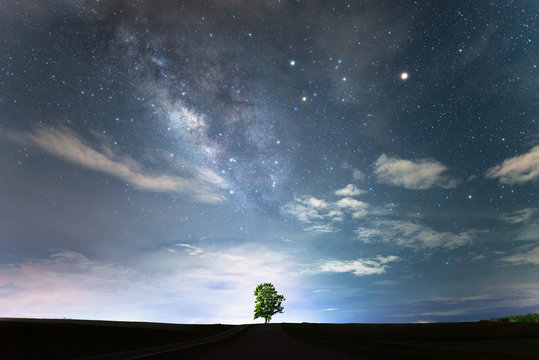 Lone tree under the starry night sky and milky way.