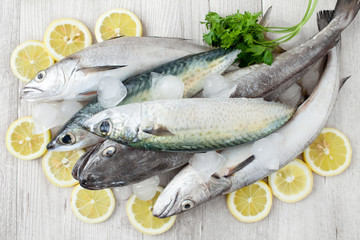Mackerel And Codfish