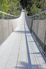 Fototapeta premium brücke in leissigen, schweiz