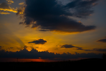 sunset in the field