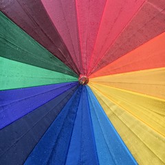 Raindrops on Umbrella