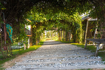 Timber footpath in grass
